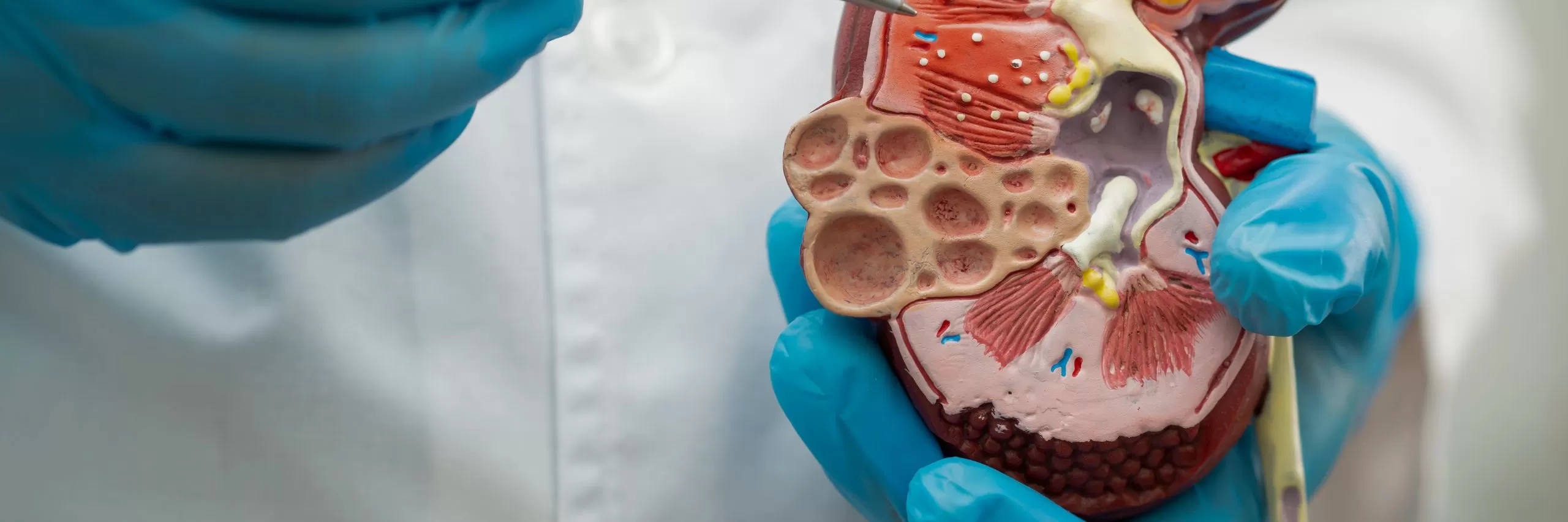 Chronic Illness Management