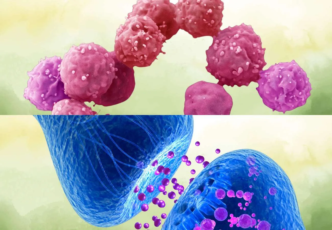 Longevity Treatments