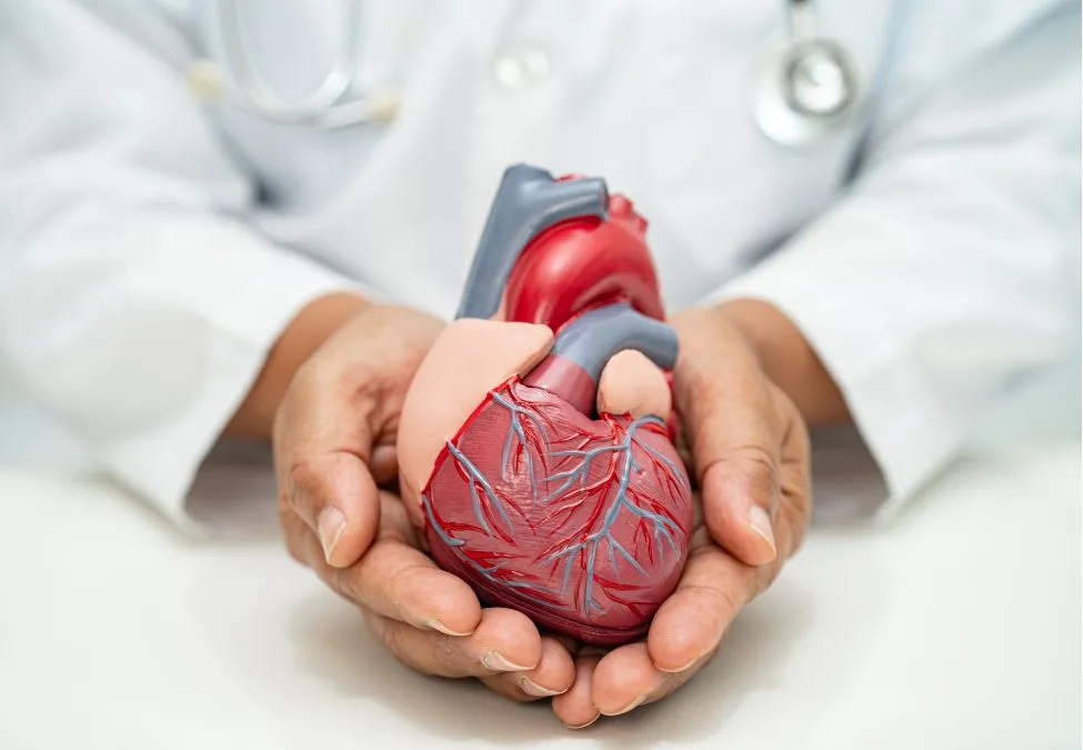 Cardiometabolic Health Overview